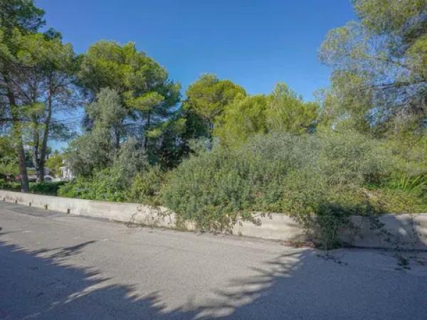 Terreno en portichol photo 1