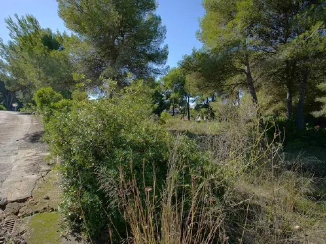 Terreno en venta en Jávea/Xàbia, Alicante photo 4