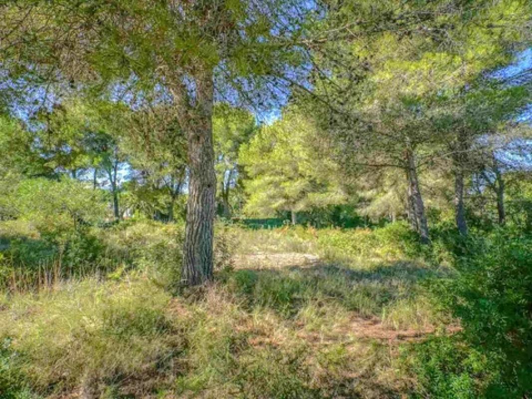 Terreno en venta en Jávea/Xàbia, Alicante photo 2
