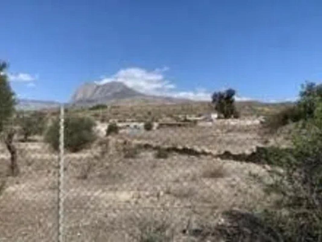 Land for sale in La Villajoyosa / Vila Joiosa, Alicante photo 5