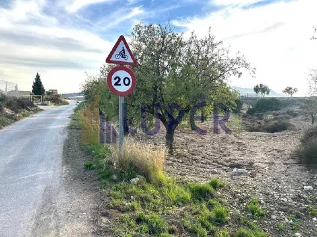 Działka na sprzedaż w Agost, Alicante photo 5
