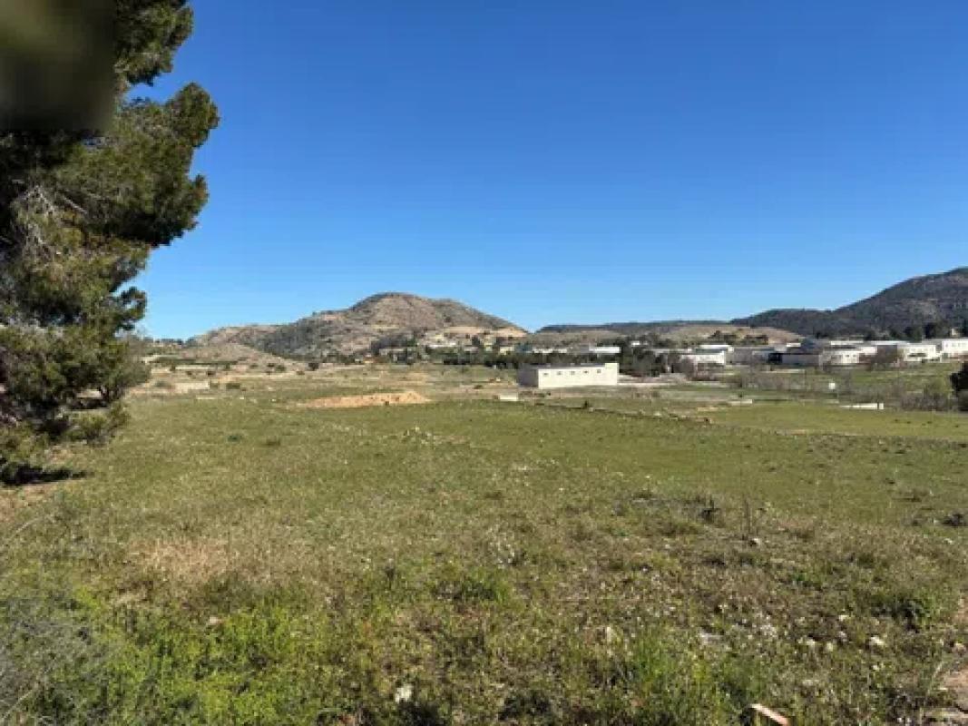 Land for sale in Elche / Elx, Alicante photo 1