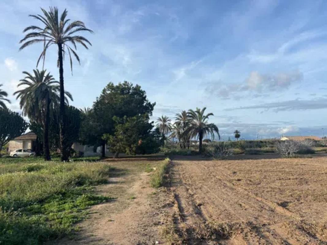 Land for sale in Elche / Elx, Alicante photo 2