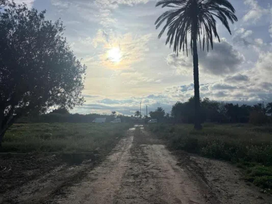 Land for sale in Elche / Elx, Alicante photo 3