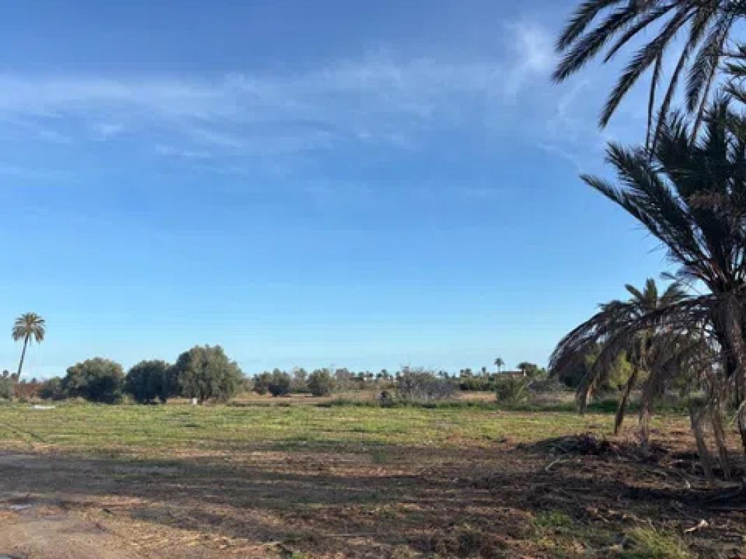 Land for sale in Elche / Elx, Alicante photo 4