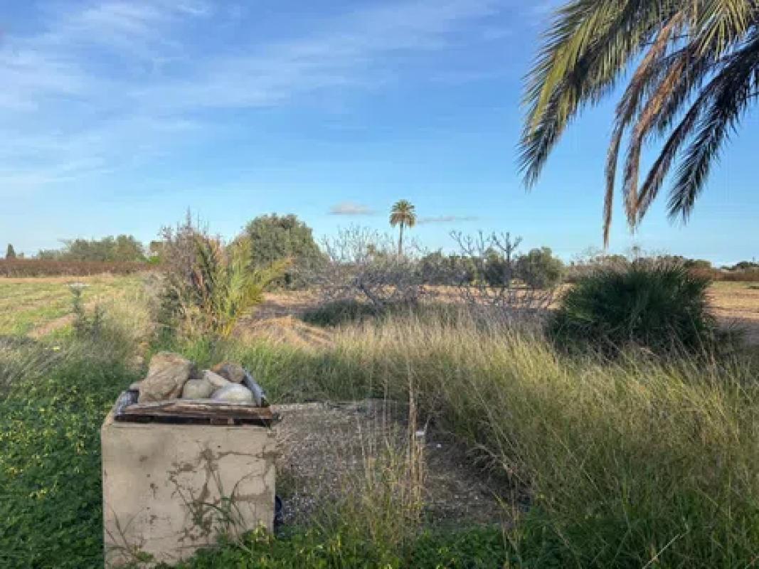 Land for sale in Elche / Elx, Alicante photo 5