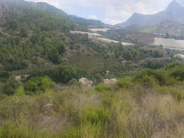 Terreno en Bolulla photo 2