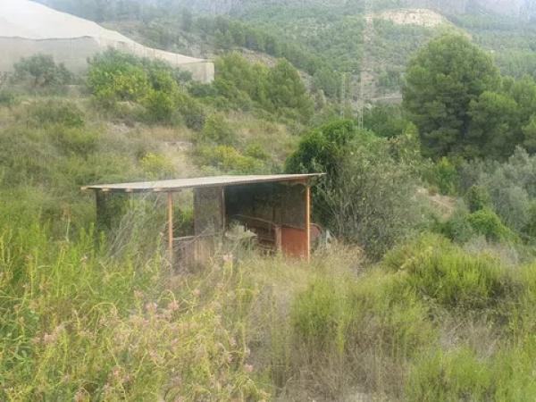 Terreno en Bolulla photo 4