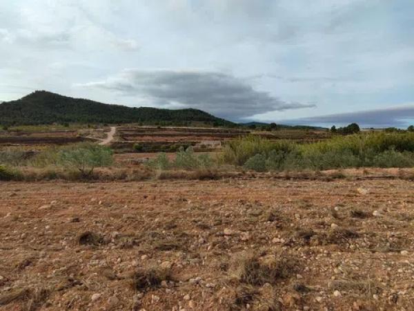 Terreno en Monovar photo 1