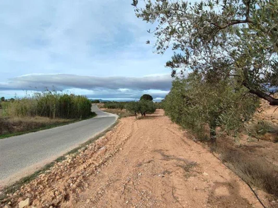 Terreno en venta en Monovar, Alicante photo 2
