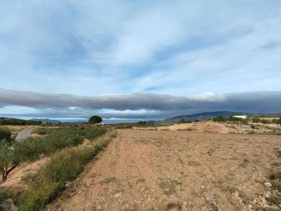Terreno en venta en Monovar, Alicante photo 4