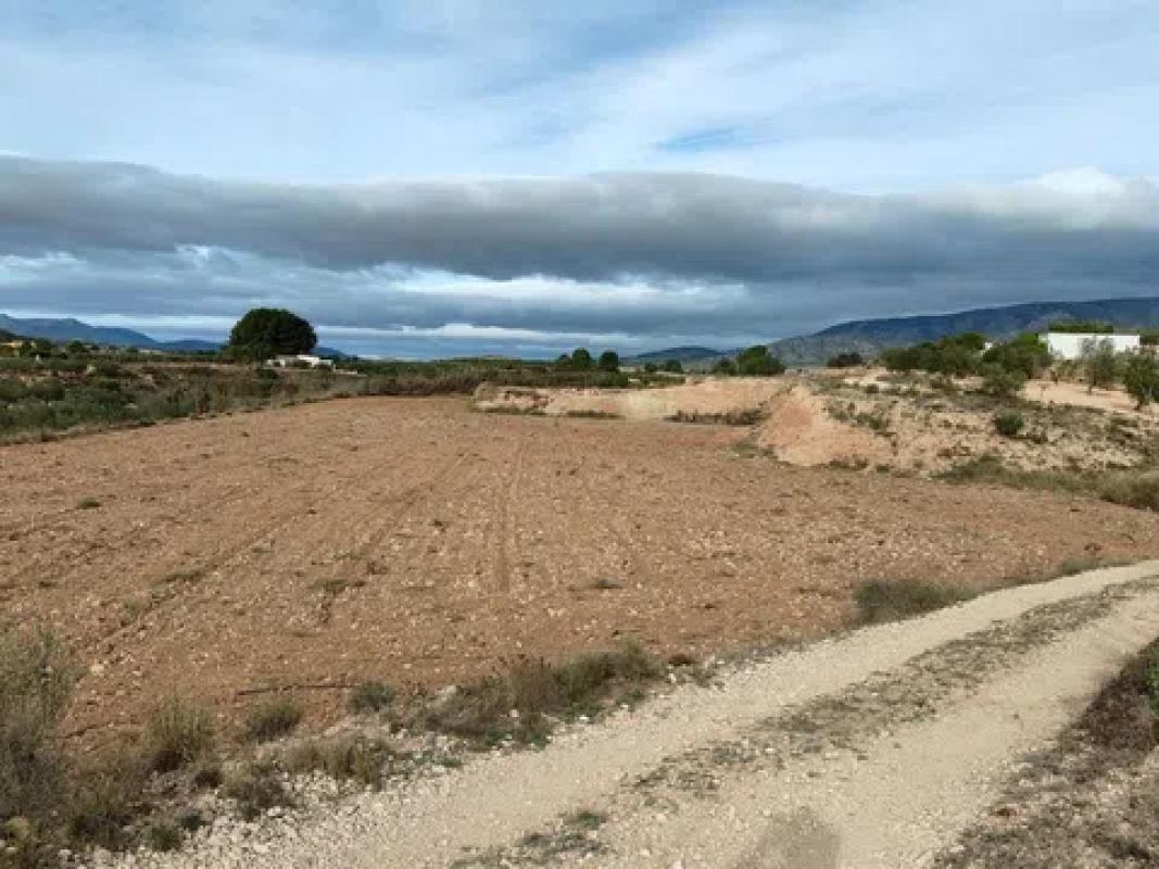 Terreno en venta en Monovar, Alicante photo 5