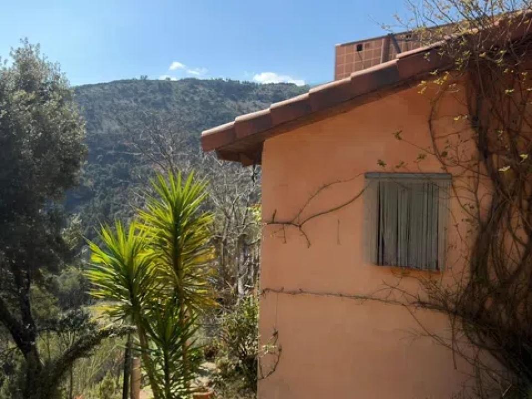 Sale of rural property in DS DISEMINADOS, 6 , Confrides photo 2