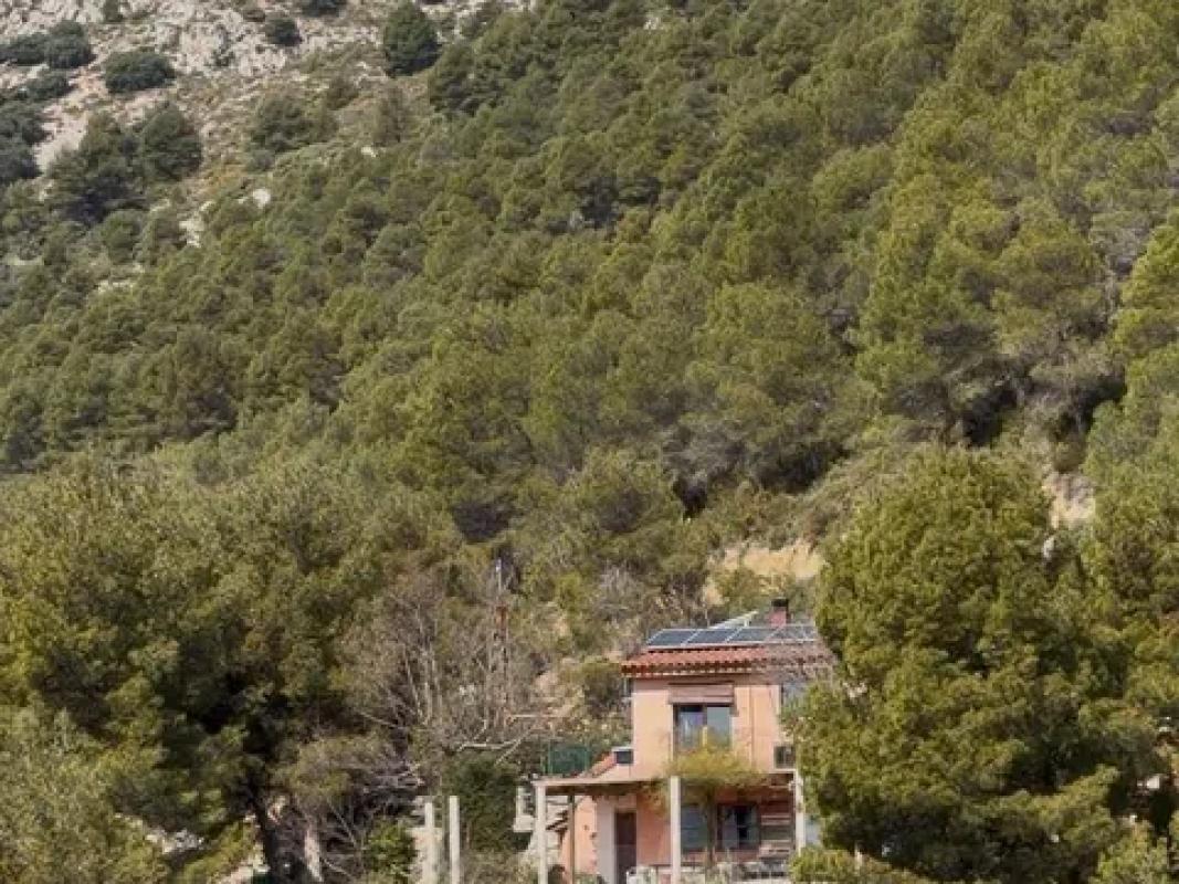 Sale of rural property in DS DISEMINADOS, 6 , Confrides photo 4