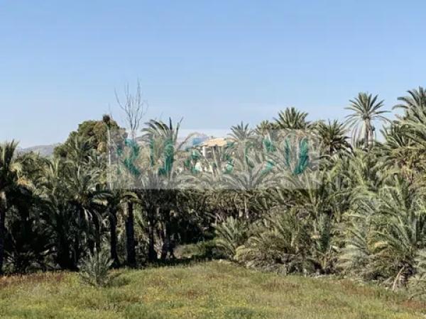 Casa independiente photo 1