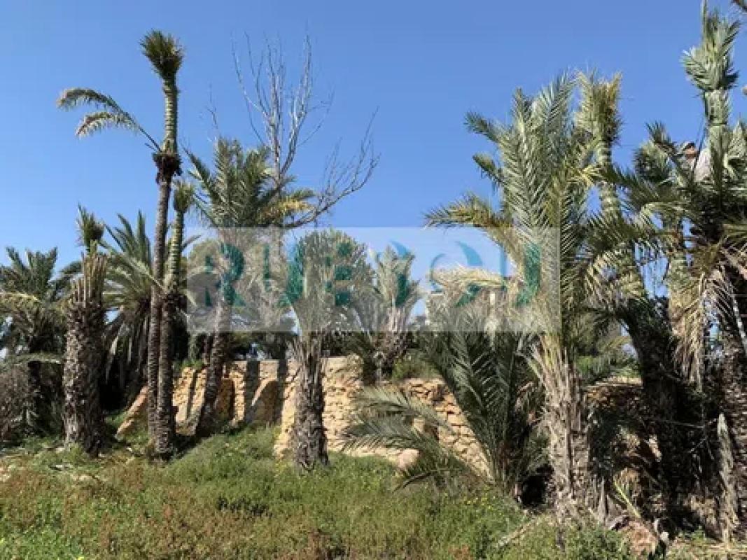 Venta de chalet independiente en La Galia-Bonavista, Elche / Elx
 photo 3