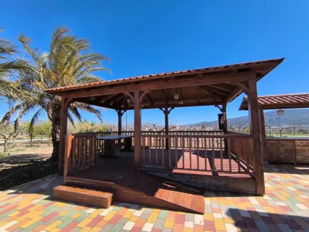 Venta de chalet independiente en Pinoso, Pinoso
photo 3