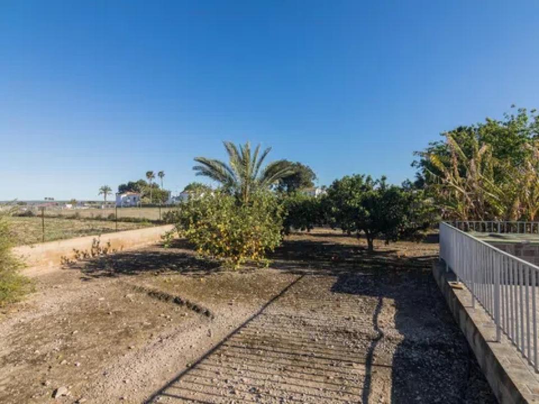 Venta de chalet independiente en Partida Valverde Bajo, 1045, Elche / Elx
photo 4