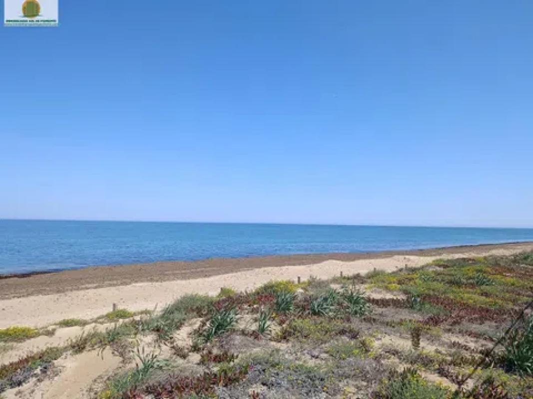 Venta de chalet independiente en Barrio Les Bassetes-El Marjal, Denia
 photo 5