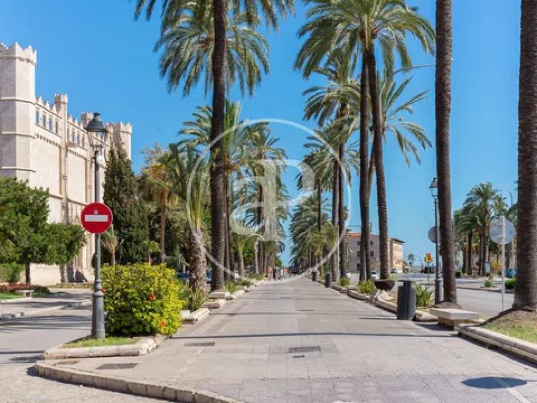 Obra nueva Son Cotoner en Palma de Mallorca (Revista) photo 4