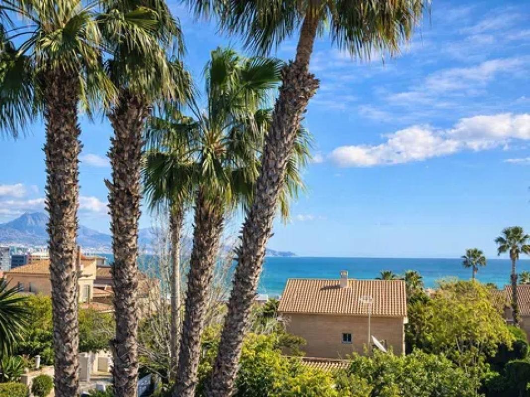 Sale of townhouse in Calle del Albatros, 3 NUMERO , Alicante photo 5