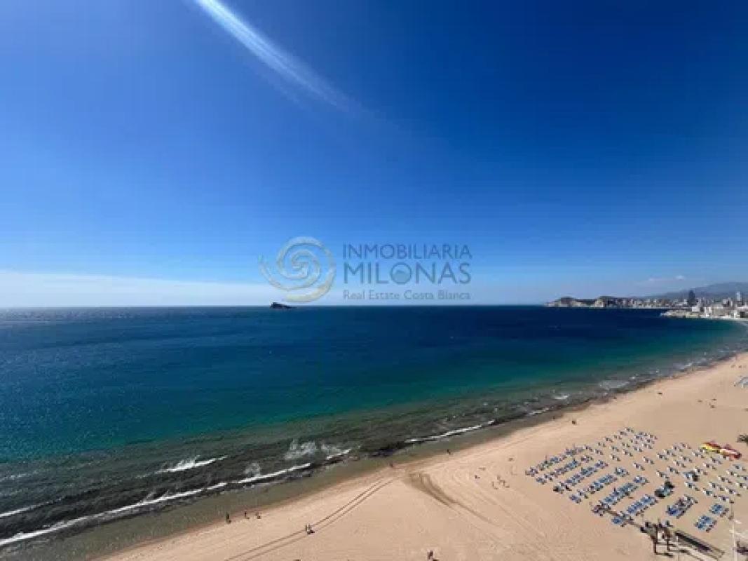 Venta de estudio en Avenida de Madrid, 15, Benidorm photo 4