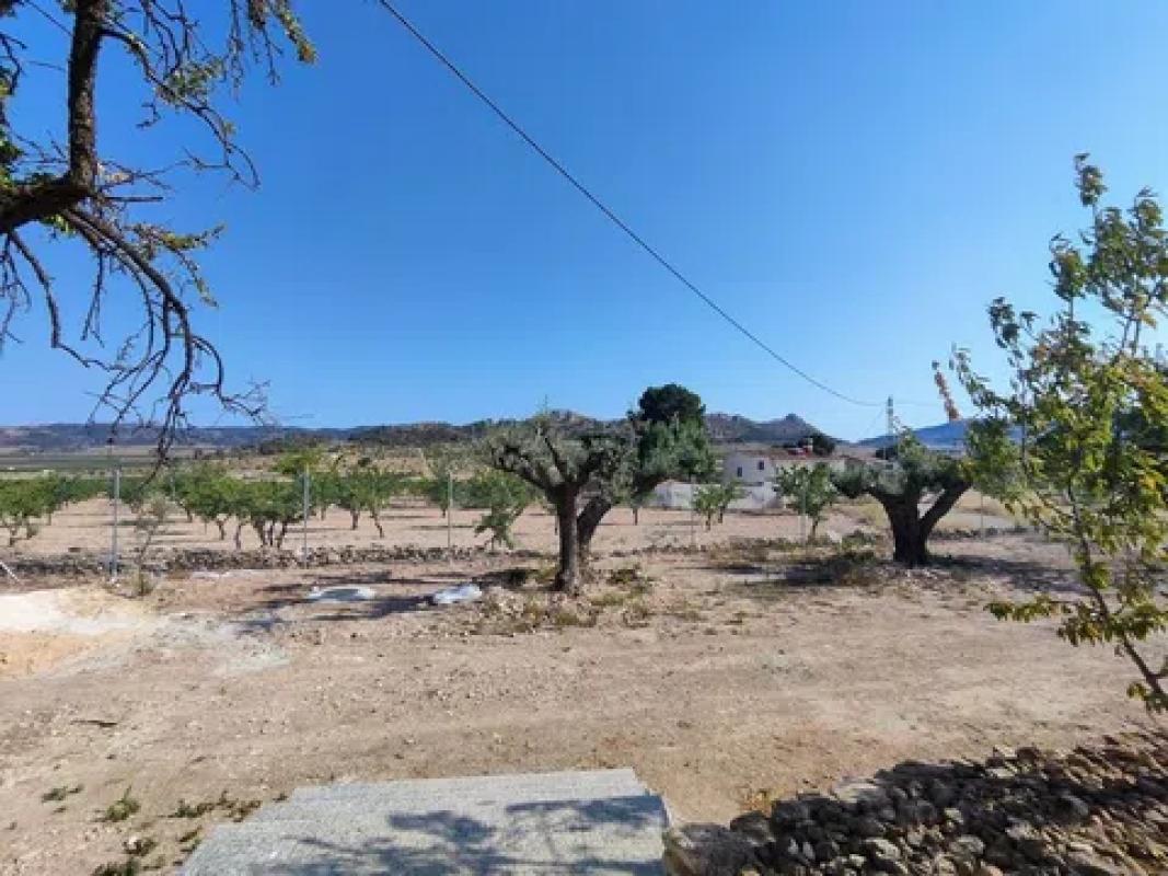 Venta de finca rústica en Calle los Sauces , Algueña photo 4