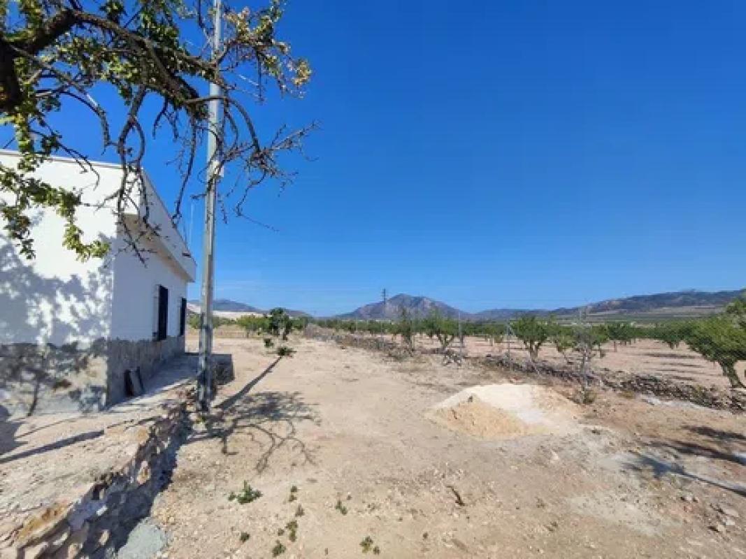 Venta de finca rústica en Calle los Sauces , Algueña photo 5