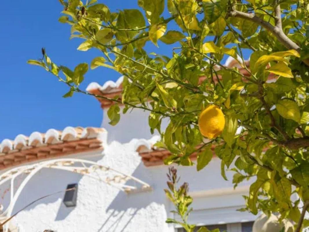 Properties for sale and rent in Spain photo 5