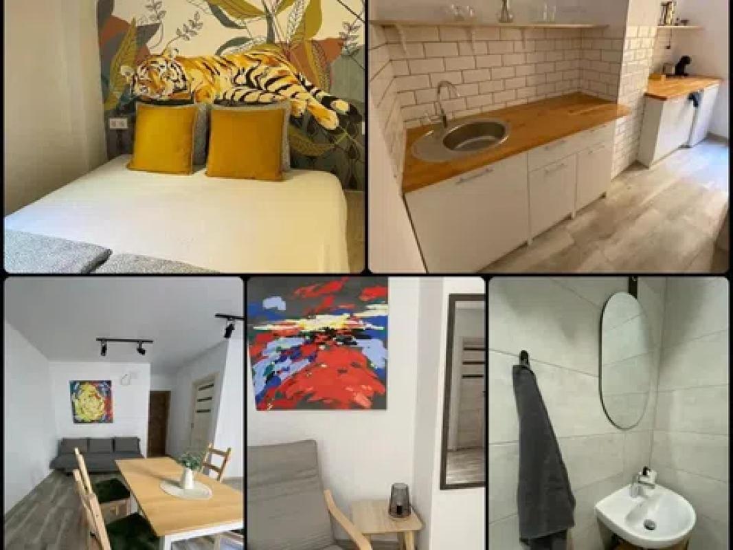 Venta de chalet independiente en Barrio Carolinas Bajas, Alicante / Alacant
 photo 5