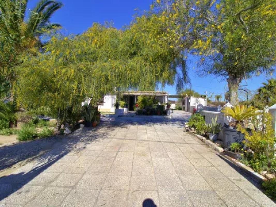 Venta de finca rústica en  Las Bayas-Asprillas , Elche / Elx photo 3