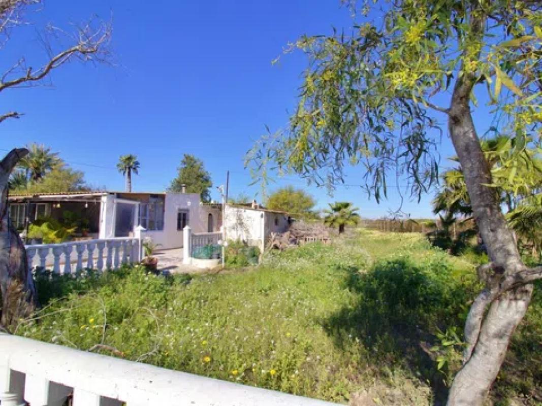 Venta de finca rústica en  Las Bayas-Asprillas , Elche / Elx photo 4