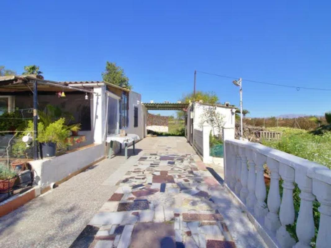 Venta de finca rústica en  Las Bayas-Asprillas , Elche / Elx photo 5