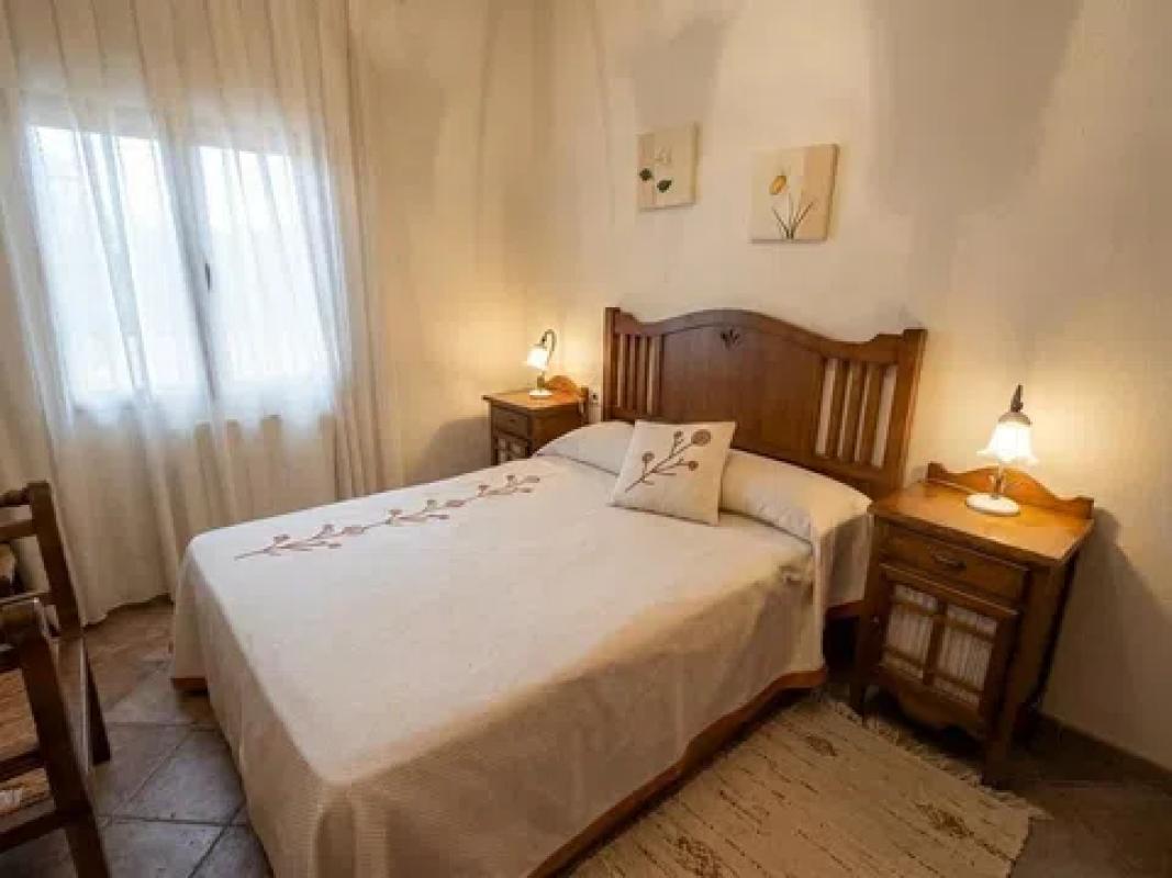 Sale of rural property in Camino del Campet , Novelda photo 5