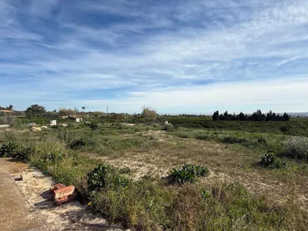 Venta de finca rústica en  Cruz, 42 , Guardamar del Segura photo 2