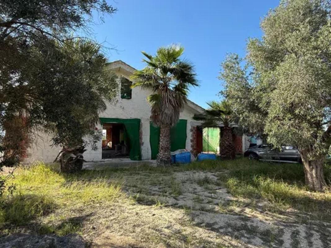 Venta de finca rústica en  Cruz, 42 , Guardamar del Segura photo 4