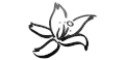 logo firmy