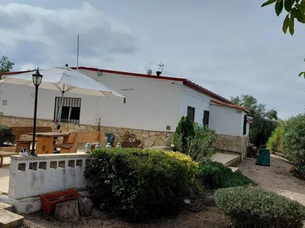 Casa independiente en avenida de Biar photo 4