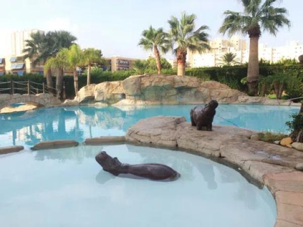 Sale of flat in Playa Muchavista, El Campello
 photo 4