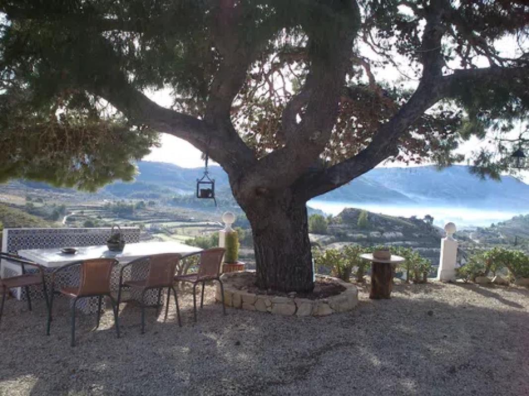 Sale of rural property in  Partida Muscaret, 775 , Relleu photo 4