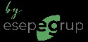 logo firmy