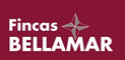 logo firmy