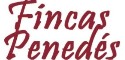 logo firmy