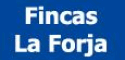 logo firmy