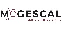 logo firmy