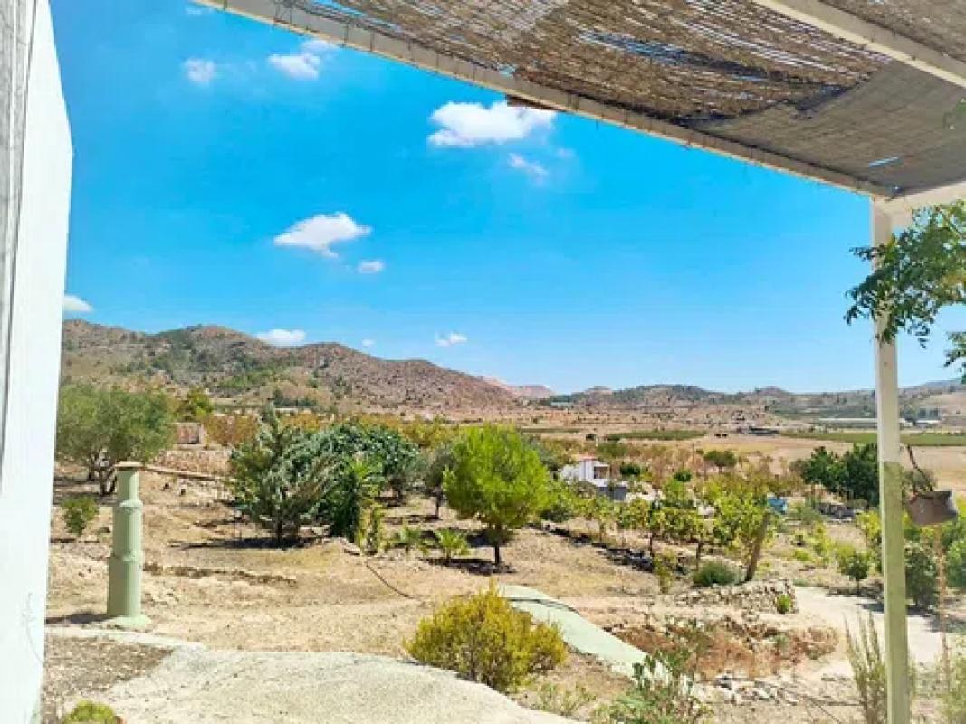 Venta de finca rústica en  Hondón de las Nieves , Hondón de las Nieves photo 2