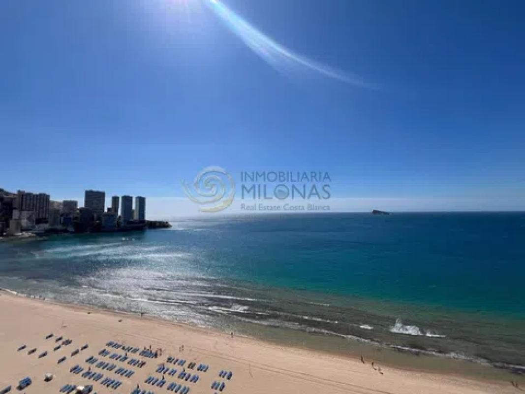 Venta de estudio en Avenida de Madrid, 15, Benidorm photo 3