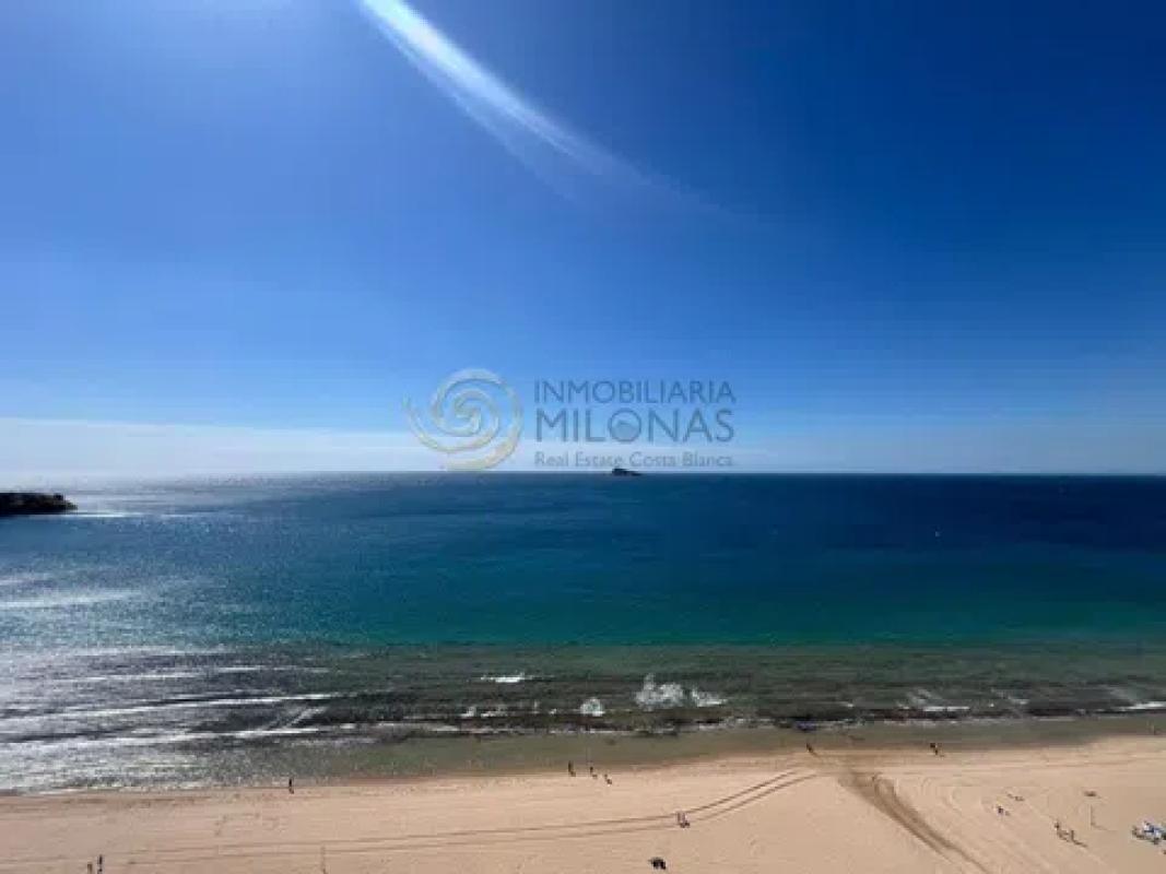 Venta de estudio en Avenida de Madrid, 15, Benidorm photo 4