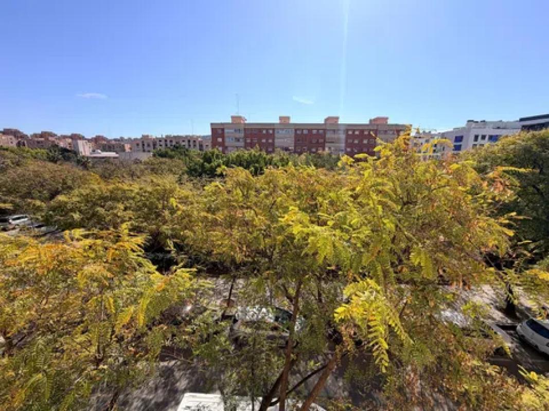 Venta de piso en Calle Bailarín José Espadero, 16, Alicante / Alacant
 photo 4