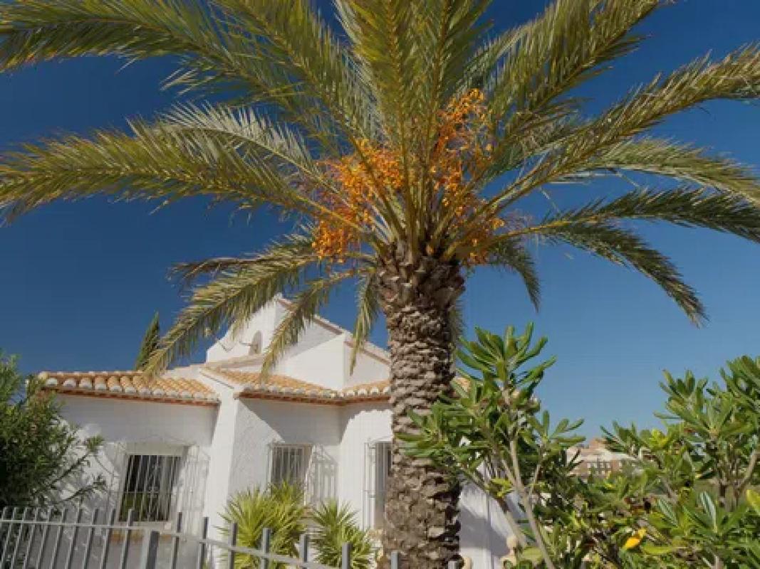 Sprzedaż niezależnego domku jednorodzinnego w Les salines de calp, 4, Pedreguer photo 2